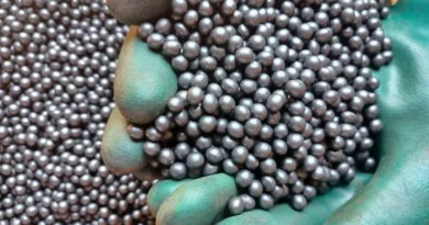 Preserving Seed Quality Is One of the Seed Sector's Biggest Challenges in Brazil