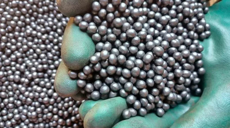 Preserving Seed Quality Is One of the Seed Sector's Biggest Challenges in Brazil