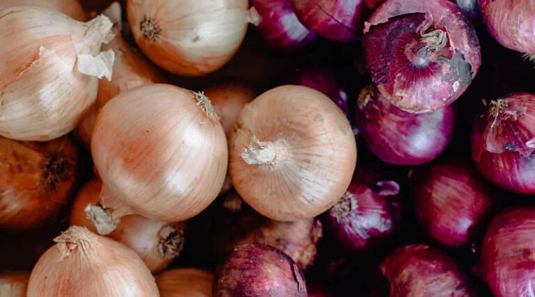 Bangladesh Restricts Import of Onion from India