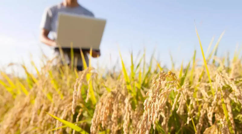 The Agtech Market in Brazil Is Just Getting Started