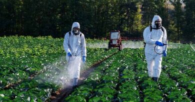 2024 Should Be a “More Stable” Year for the Agrochemicals Market in Brazil, but Farmers Must Be Cautious