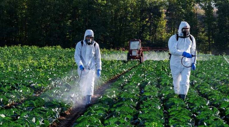 2024 Should Be a “More Stable” Year for the Agrochemicals Market in Brazil, but Farmers Must Be Cautious