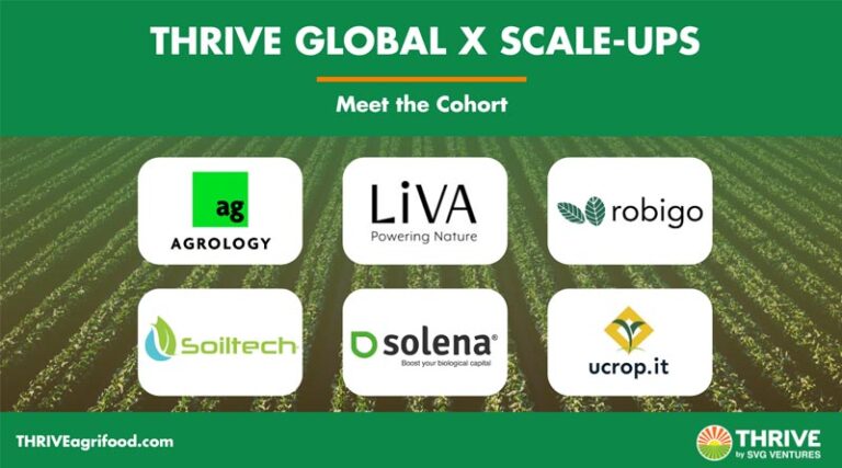 SVG Ventures | THRIVE Announces Tenth Cohort of Global Scale-Ups