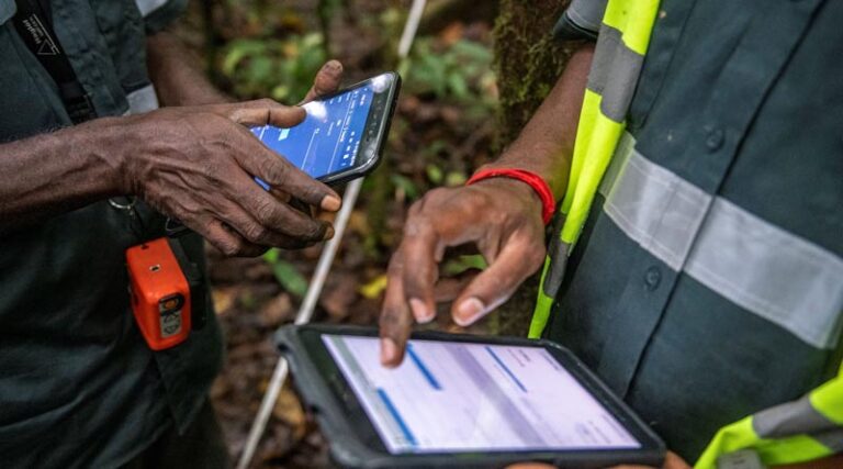 International Day of Forests: FAO, Google and partners launch solution easing people’s ability to monitor and protect forests