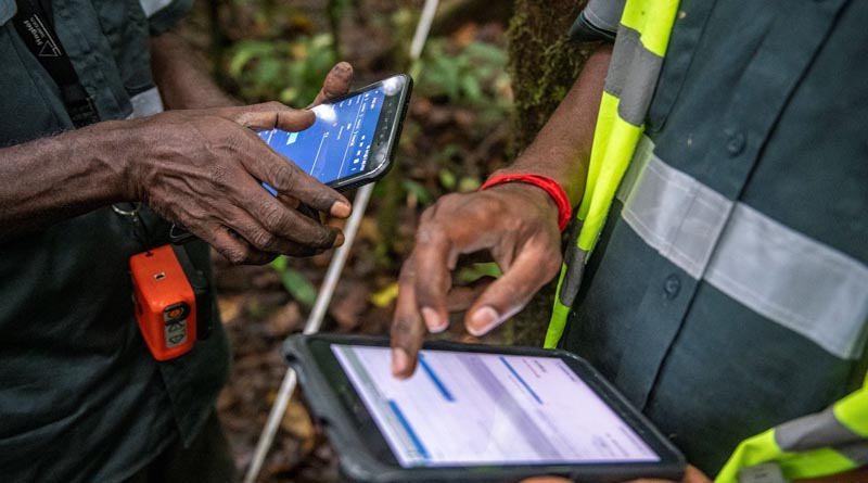 International Day of Forests: FAO, Google and partners launch solution easing people’s ability to monitor and protect forests