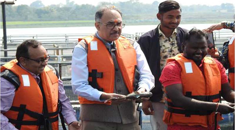 Cage cultivation of fishes giving 4 lakh profit; Secretary Fisheries visits farmers