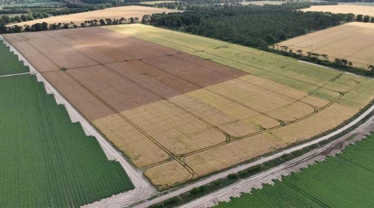 What impact do different cultivation systems have on Nitrogen-fixing bacteria seed treatment Nuello iN?