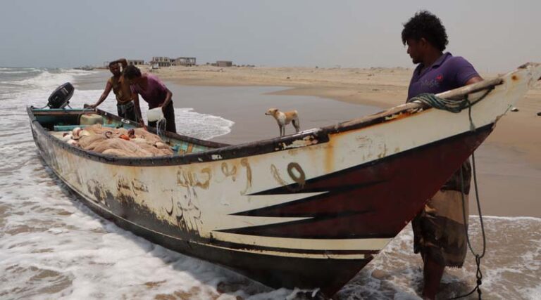 Red Sea shipping disruptions likely to exacerbate the dire humanitarian situation in Yemen - new FAO report warns