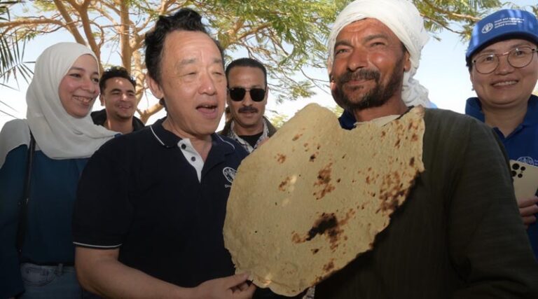 Director-General visits project sites in Egypt