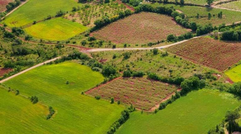Beyond Stocks: How Farmland Offers a Haven in the Storm of Market Uncertainty