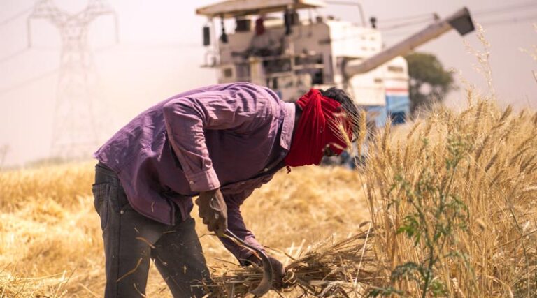Betul Tragedy: Promoting Safe Practices in Wheat Threshing