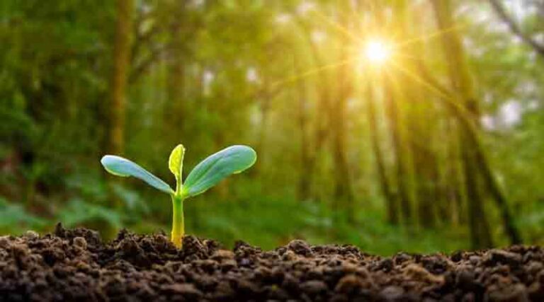 Syngenta Group reports $32.2 billion sales and $4.6 billion EBITDA in 2023