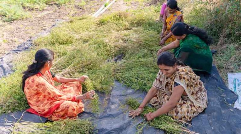 India Produces 683 Million Tonnes (MT) of Crop Waste, FSII Calls for Action on International Day of Zero Waste