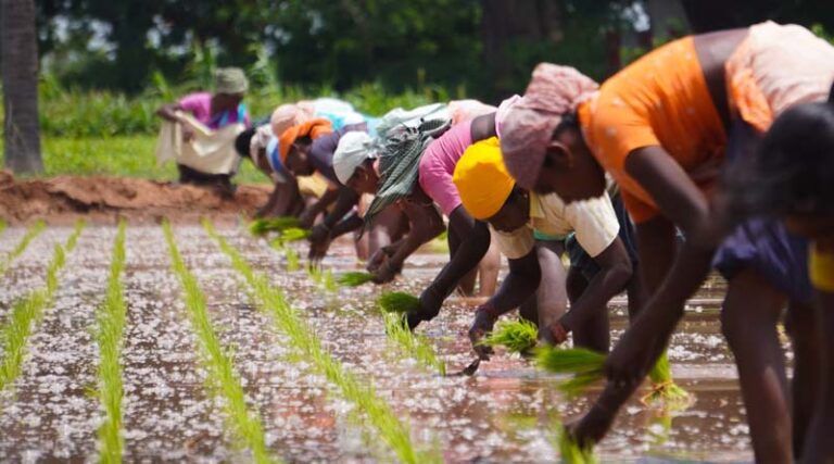 Around 5,000 Farmer Producer Organizations (FPOs) registered on ONDC platform