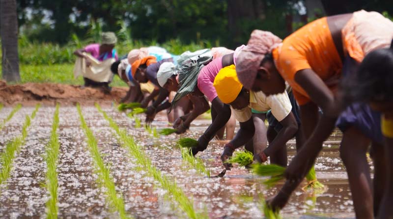 Around 5,000 Farmer Producer Organizations (FPOs) registered on ONDC platform