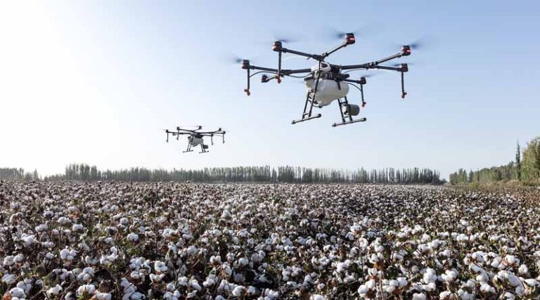 Indian Cotton Prices and Outlook for March 2024: A Mixed Bag for Cotton Producers