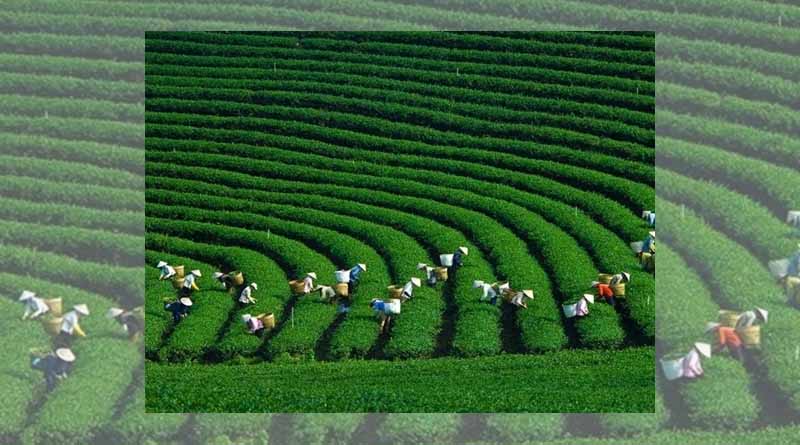 The export surplus value of Vietnam's agro-forestry-fishery products nearly triples compared to the same period last year