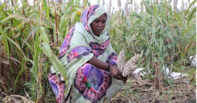 UN Statistical Commission approves the creation of standalone food security and nutrition domain