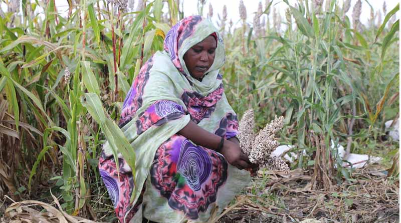 UN Statistical Commission approves the creation of standalone food security and nutrition domain