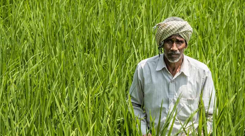 Complex fertilizers volume to grow 4-5% next fiscal: CRISIL