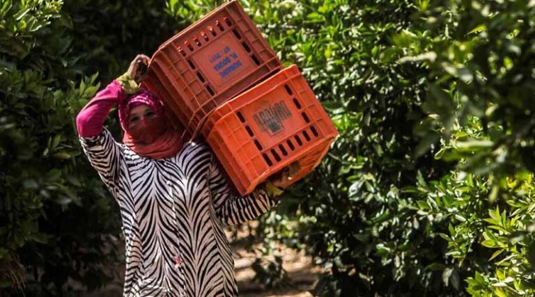 FAO report: Heatwaves and floods affect rural women and men differently, widen income gap