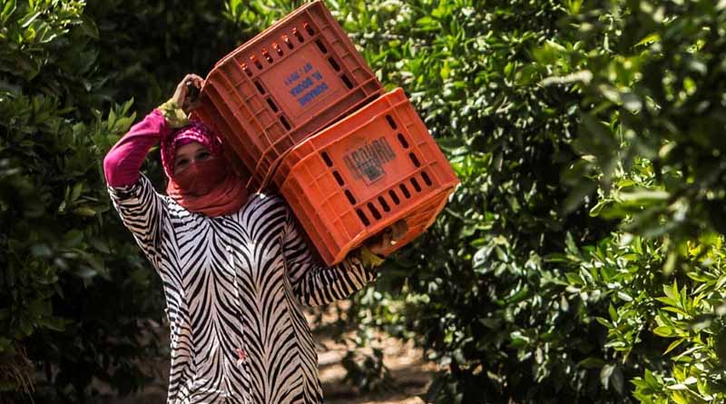 FAO report: Heatwaves and floods affect rural women and men differently, widen income gap