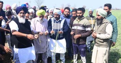 Punjab: Sukhbir Badal condemns the AAP govt for leaving hailstorm-affected wheat farmers in the lurch