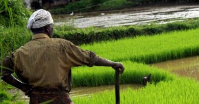 Proposal for Agri Income Slabs: Parliamentary Panel Calls for Tax Code Differentiation