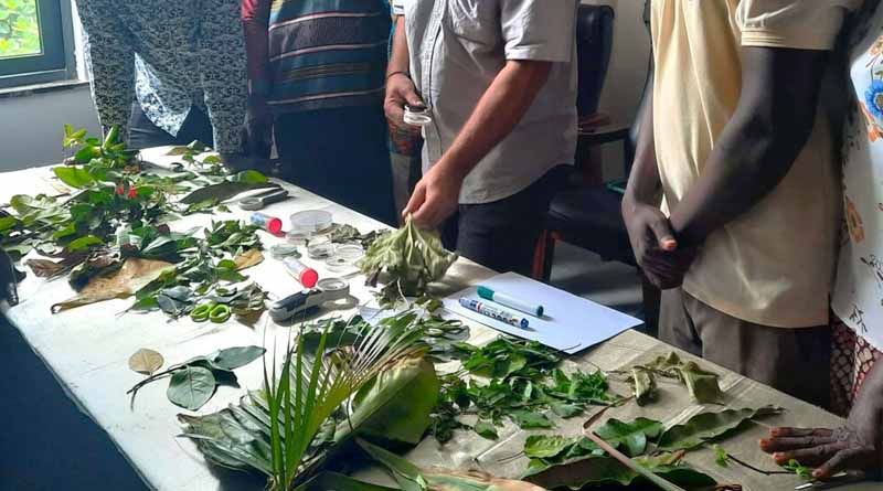 PlantwisePlus delivers plant health ‘training of trainers’ in South Sudan