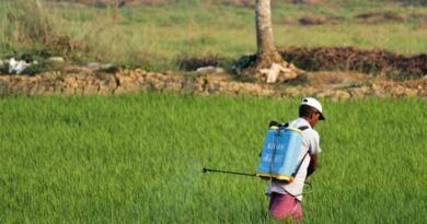 Government of India Urges State Authorities to Ensure Compliance with Insecticide Labeling Requirements