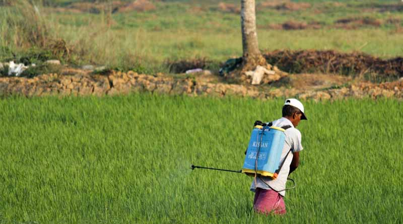 Government of India Urges State Authorities to Ensure Compliance with Insecticide Labeling Requirements