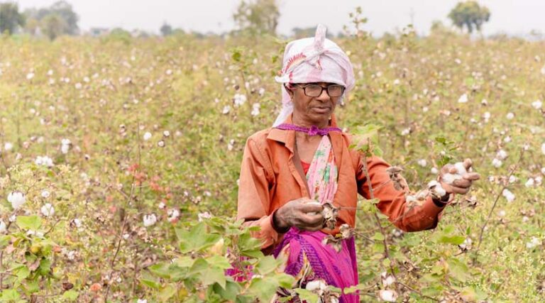 Immediate Need for Prioritising Agrochemicals Under PLI Scheme
