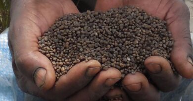 Upcoming Africa Fertilizer And Soil Health Summit Charts A Productive Path For African Agriculture