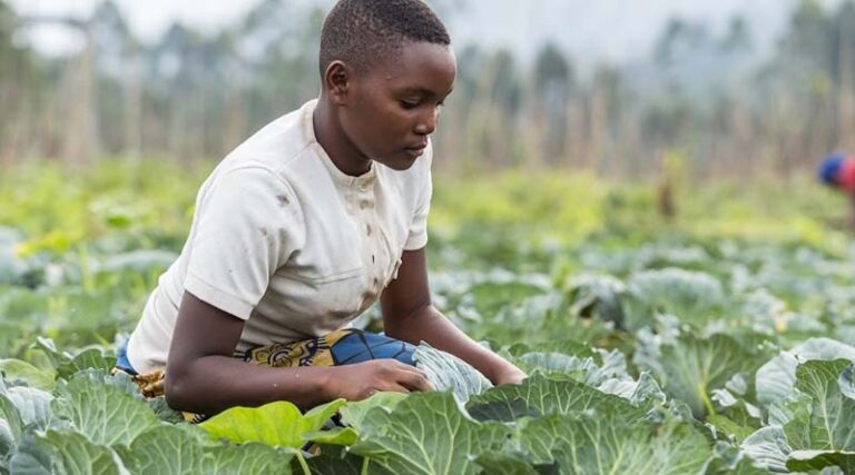 Overcoming social norms to boost women farmers’ access to agricultural advisory services