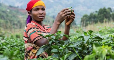 CABI announces appointment of Chileshe Kapwepwe as next Board Chair while work continues to tackle humanity’s greatest challenges