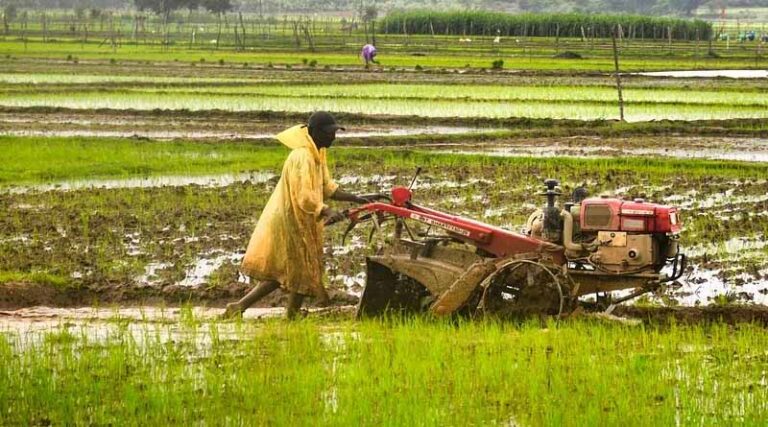 Cabinet Approves Nutrient Based Subsidy Rates for Kharif Season 2024 and Inclusion of New Fertilizer Grades