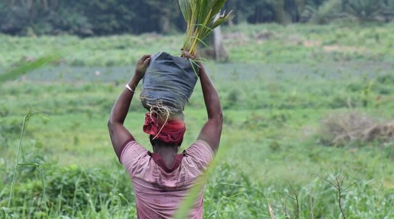 Survey for European importers on the impact of the new EU Regulation on Organic Production – extended deadline