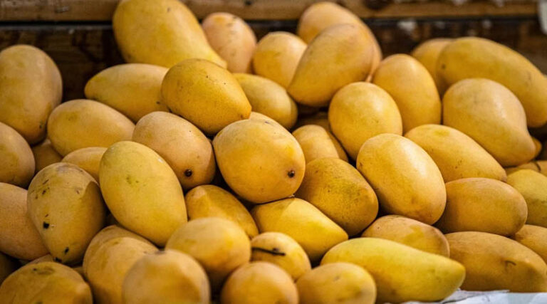 Mango