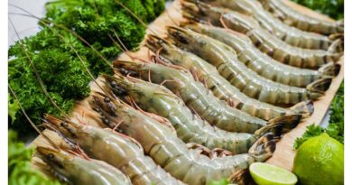 Agro-product exports in the first 3 months increased nearly 100%