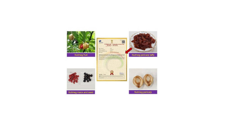 ICAR-CCARI’s invention Nutmeg Taffy gets Patent