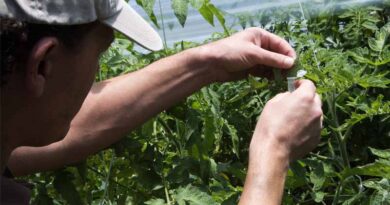 Plant Health Governing Body Meets on Further Measures to Curb Pests and Diseases