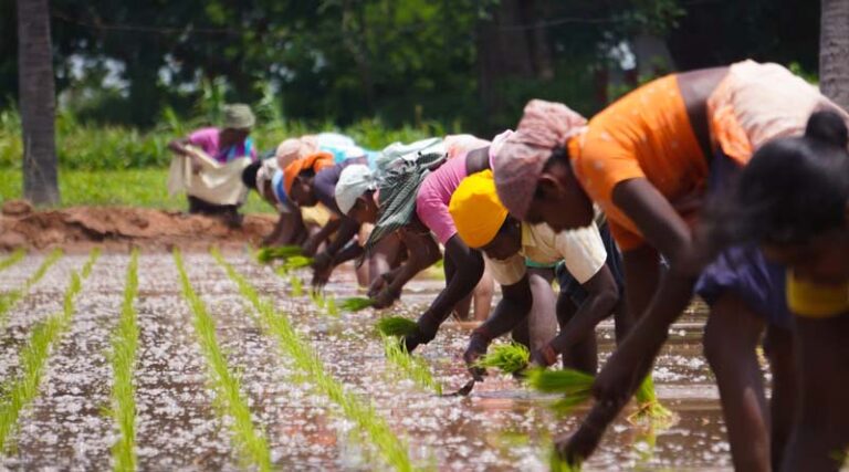 Indian Farmers to Get New Nano Urea Plus, Notification for New Composition Released