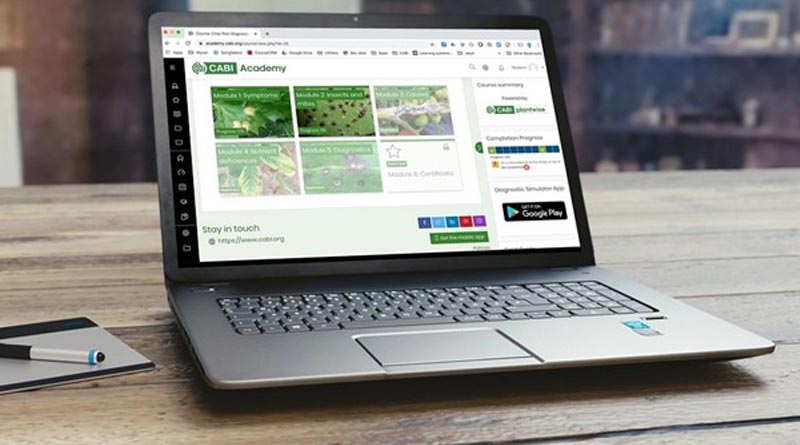 CABI Academy launches two new free courses in water and soil management