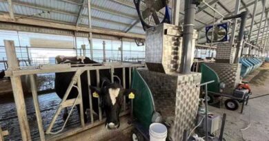Cargill Technology Application Center: Leading Methane Emission Reduction Innovation in China
