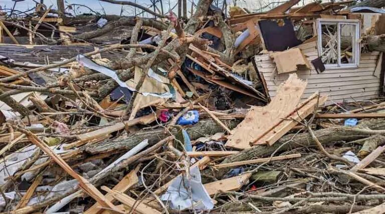 Risky Business: Safeguarding Crop Diversity in Genebanks