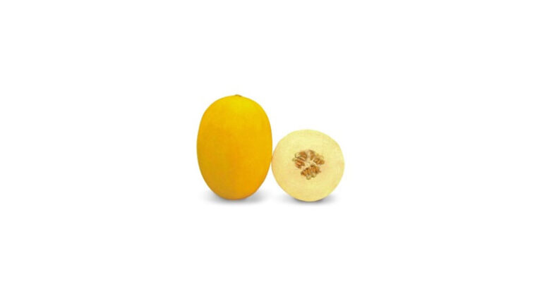 Known-You Seed Muskmelon Variety Kohinoor