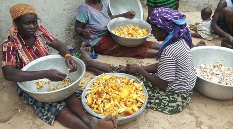 Giving Fungi a Place at the Table