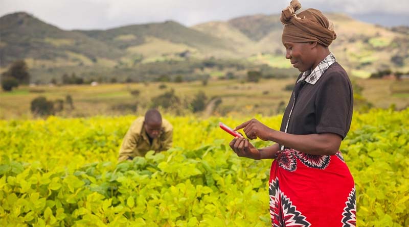 on Earth Day, We Take a Look at Climate Change and Agriculture