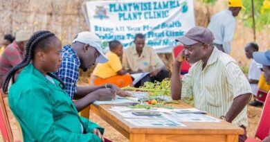 Support for greater plant health highlighted at Commission of Phytosanitary Measures