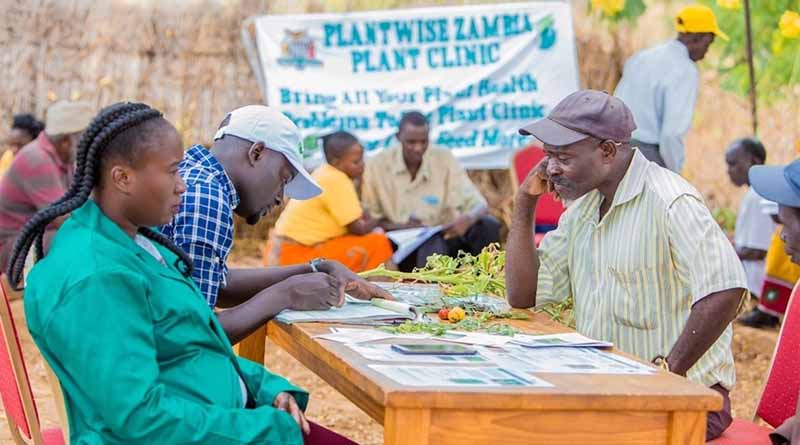 Support for greater plant health highlighted at Commission of Phytosanitary Measures